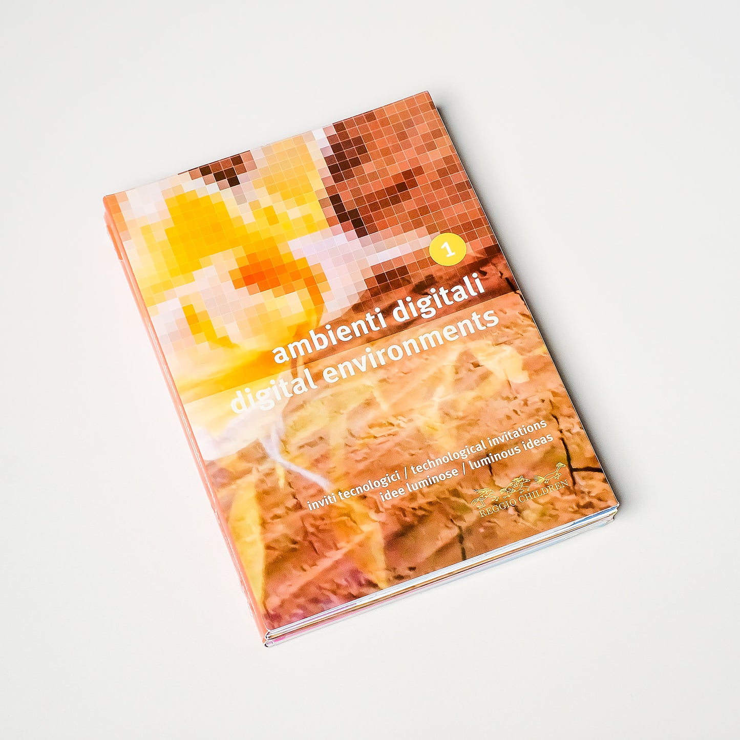 Digital Environments