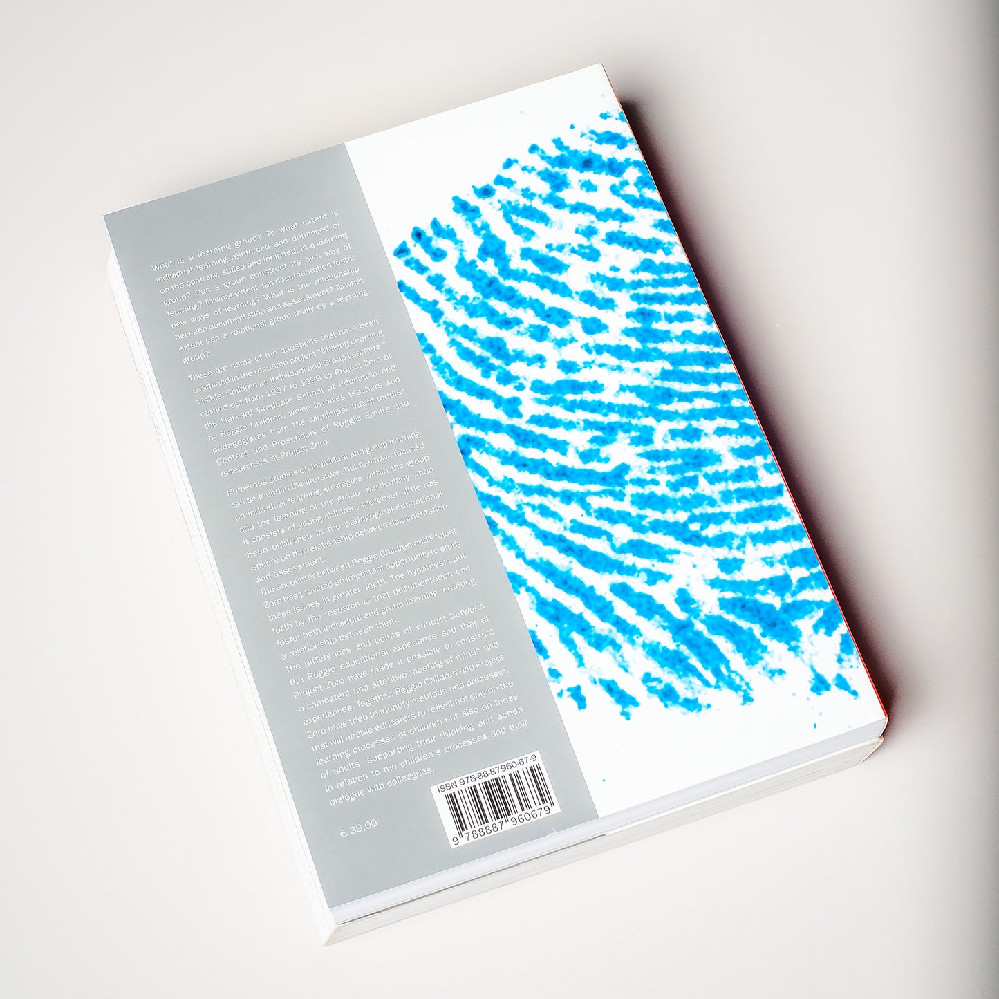 Making Learning Visible: Children as Individual and Group Learners