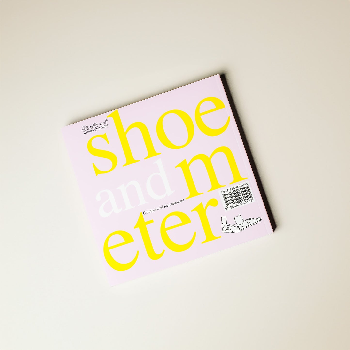 Shoe and Meter